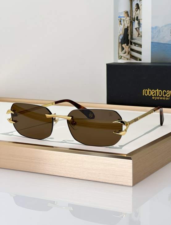 Picture of Roberto Cavalli Sunglasses _SKUfw79280019fw